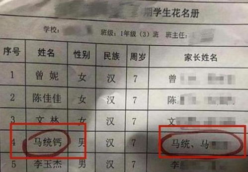 爸爸姓 沙 ,孩子该取啥名 沙溢透露名字由来 多亏我爸阻拦