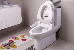 卫浴知识 智能马桶选购知识与安装方法