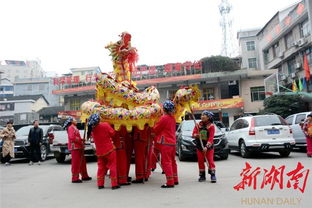 永顺 龙灯拜年舞出时代新气象