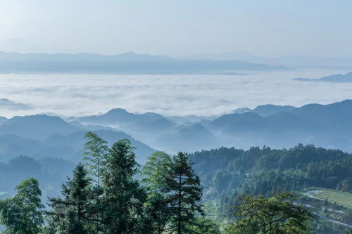 阴宅和阳宅风水,该重视哪个