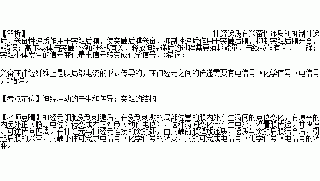 研究人员发现了一个有趣的现象.肥胖可能与大脑中多巴胺的作用有关.多巴胺是一种重要的神经递质.在兴奋传导中起着重要的作用.下列有关兴奋传导的叙述.正确的是A.神经递质作用于突触后膜 