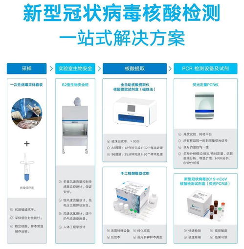 权威查重网站：一站式论文检测解决方案