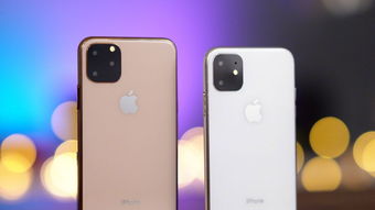 iPhone11将于9月10日发布,参数基本被确定,全系标配双卡双待