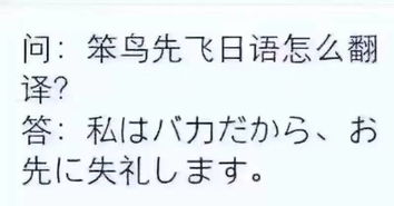 笨鸟先飞 我是傻子,先走了 日本人都是这样翻译成语的吗 