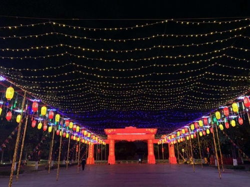 东莞洪梅广场花灯秀成网红打卡点,快来感受喜庆花灯文化氛围