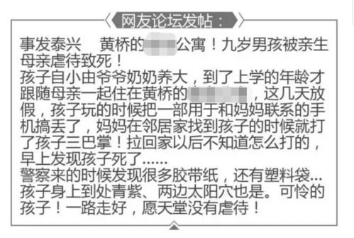 9岁男孩被亲妈失手打死,疑因雪天弄丢手机 雪化后,手机 