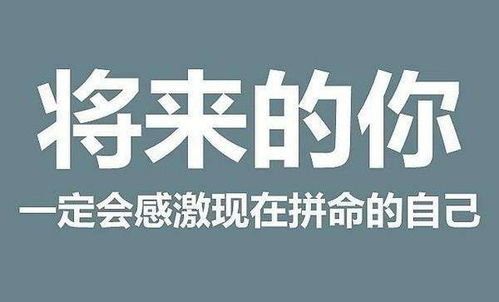 求职知识 冷门专业如何找到好工作