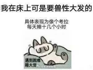 当代年轻人能有多爱睡觉 没有什么烦恼,是睡一觉无法解决的