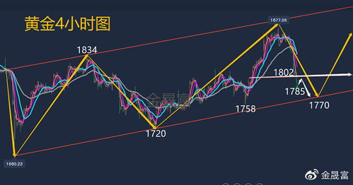 N字头的股票代表什么意思？，为什么当天可以涨到100％？