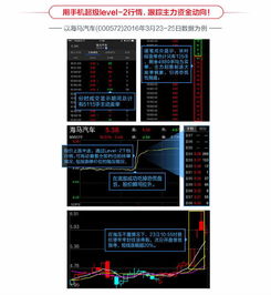 东方财富证券的level-2主力检测怎么用