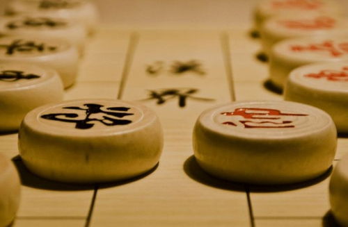 中国象棋有国际大赛吗 几个,奖金多少 (中国象棋历届世界*奖金是多少)