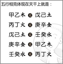 看漫画学算命,漫画解析八字命理 6 