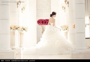 回首的新娘婚纱摄影图片免费下载 编号3140265 红动网 