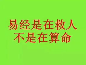 易经大师对香港影坛四大恶人何家驹,名字磁场分析论断