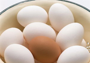 每天到底吃几个鸡蛋比较好(每天每天吃几个鸡蛋合适)