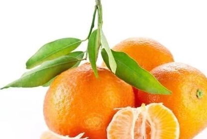 一个橘子十副药 是什么意思 看完终于明白了 值得分享给家人