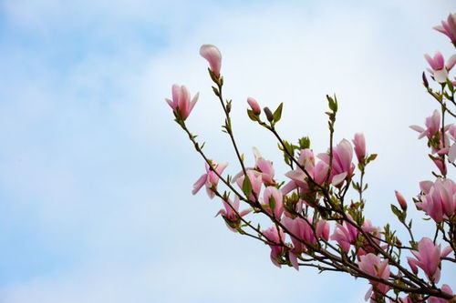 下周内,秋雨如桃花,月老送姻缘,牵手良人余生幸福的4大星座