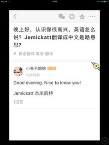 晚上好,认识你很高兴,英语怎么说 Jemickatt翻译成中文是啥意思 