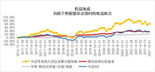 大湾区理财最近怎么负收益？