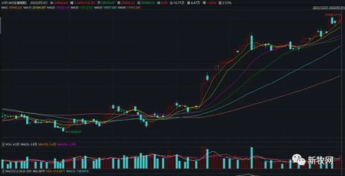 贵金属股票龙头：金贵银业8月1日涨幅超过6%