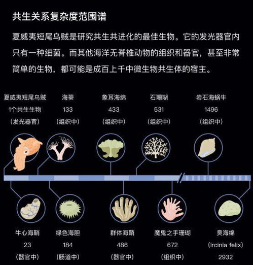 科学家揭秘水下生物的共生关系 借我一个肩膀,还你整片天空