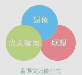 为什么我们记不住书中的内容 快速记忆书本知识的方法