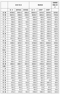 壬申日柱2025年壬寅年运势