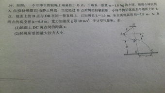 ”由于两绳子不可伸长”这说明了什么问题(o_o)?