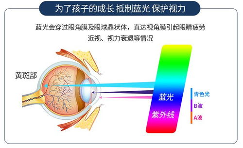 天天看电脑,防蓝光眼镜要不要买 来看看这篇眼科医生的建议