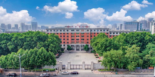 合肥工业大学有哪些学院