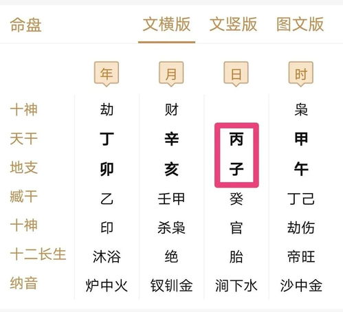 丙寅甲午丙戌辛卯八字