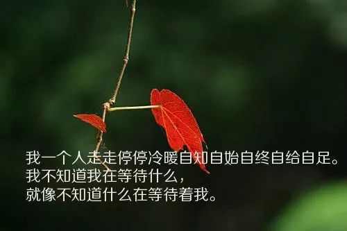 非常走心的一句话说说心情短句,朋友圈穿透心灵的说说短句