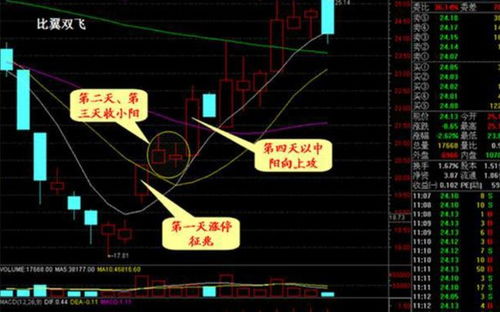 炒股票时是不是只要按照五日线来炒就能赢利?