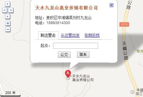 九龙山在哪个城市？