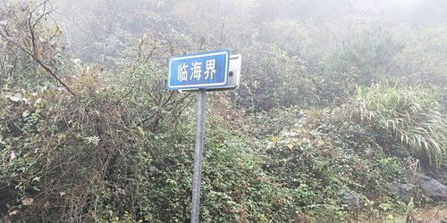 九龙坡马路隔离墩咨询,马路隔离墩