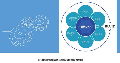 企业品牌战略(品牌策略主要有哪些类型)