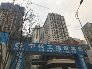 发现楼盘停工后业主们该怎么办(楼盘停工了怎么办)