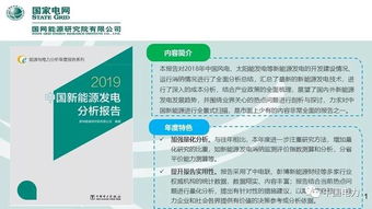 国网能源院 中国新能源发电分析报告 2019