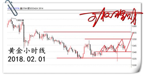 美联储维持利率不变,ETF遭遇抛售金价面临调整 