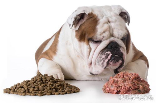 狗狗每天只吃狗粮可以吗 