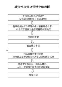 关于担保公司成立的问题