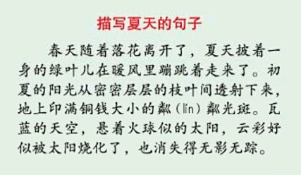 预习复习写作全覆盖,一套教辅搞定小学语文教材