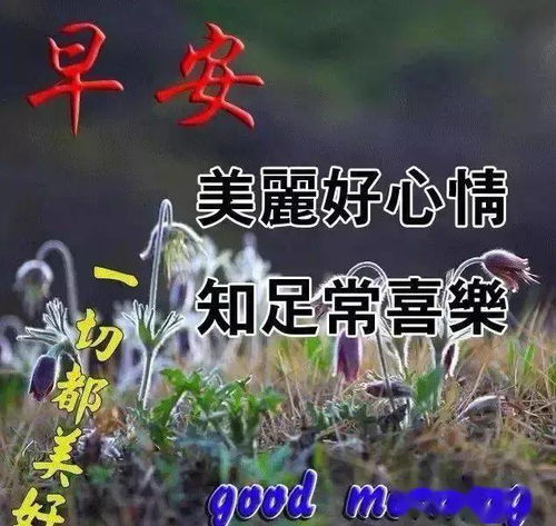 努力祝福话