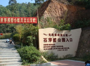 <a href='http://sz.ptotour.com/around/cs/shenzhen/'  target='_blank'>深圳</a>石芽岭公园游玩攻略 