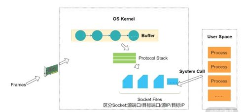 Linux中select poll和epoll的区别