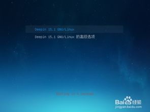 老电脑win10如何安装deepin