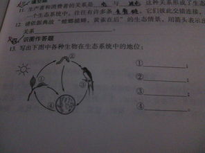 生物作业：
调查时首先明确（ ）和（ ），制定合理的（ ）。调查的范围很大时，就要进行（ ）调查过程要如实