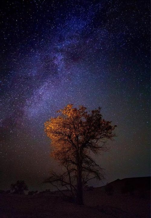 夏夜晴朗,收下这份观星地图