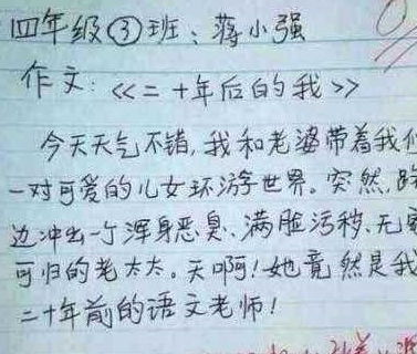 我眼中的翠翠作文