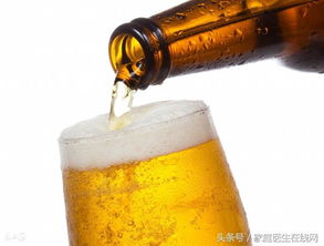 啤酒和白酒,哪个对身体危害更大 经常喝酒的人看看